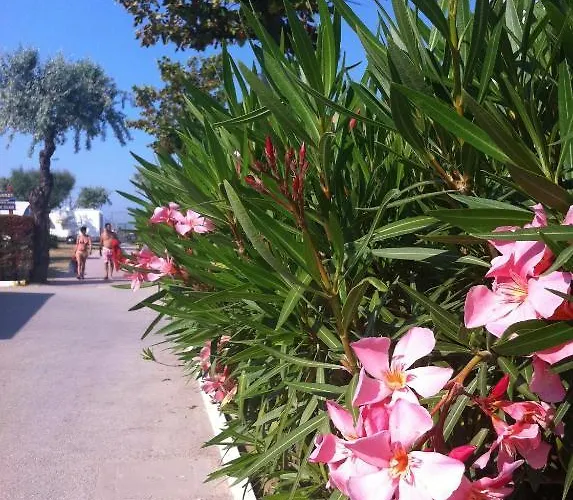 Happy Camping Village Bellaria-Igea Marina